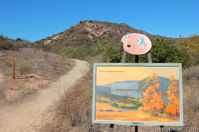 Little Sycamore Canyon Trail