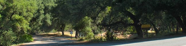 El Cariso Campground Cleveland National Forest Santa Ana Mountains Riverside County Ortega Highway Main Divide tent camping Southern California