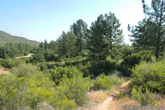 El Cariso Nature Trail | Santa Ana Mountains | Hikespeak.com