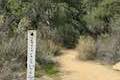 Tenaja Falls Trail San Mateo Canyon