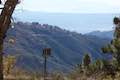 Heaps Peak Arboretum View