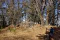 Heaps Peak Arboretum Granite Boulders