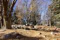 Heaps Peak Arboretum Granite Boulders