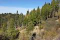 Heaps Peak Arboretum Trail