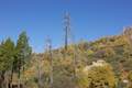 Heaps Peak Arboretum Trail