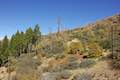 Heaps Peak Arboretum Trail