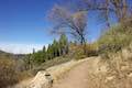 Heaps Peak Arboretum Hike