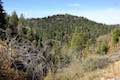 Heaps Peak Arboretum Trail