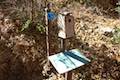 Sequoia Trail Bird House