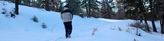 Towne Trail Big Bear Lake San Bernardino Mountains California hike