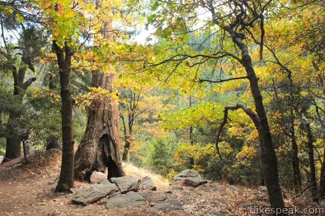 Heart Rock Trail