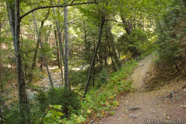 Heart Rock Trail