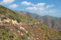 Marshall Peak Trail