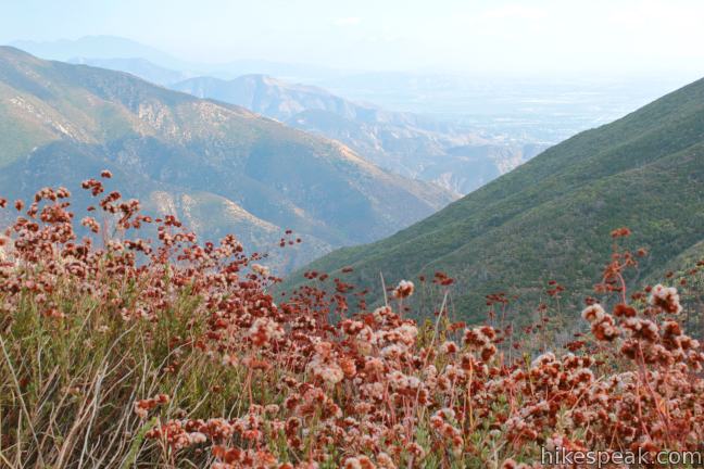 Marshall Peak Trail