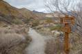 Whitewater Preserve