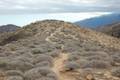 Whitewater Preserve