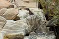 Indian Flats East Fork San Luis Rey River