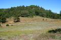 Observatory Trail Palomar Mountain