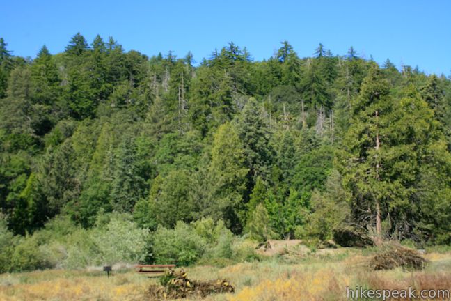 Observatory Campground