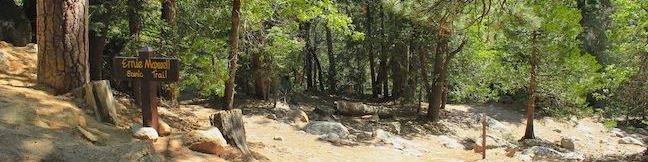 Ernie Maxwell Scenic Trail Idyllwild Fern Valley San Bernardino National Forest Humber Park hike San Jacinto Mountains