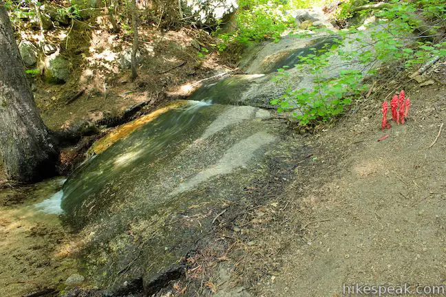 Ernie Maxwell Scenic Trail creek cascade