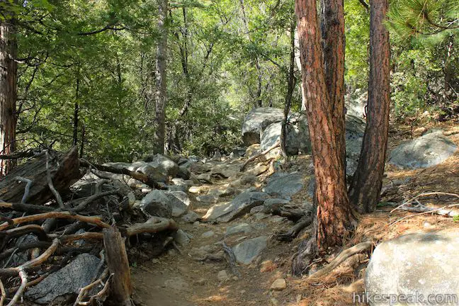 Ernie Maxwell Scenic Trail