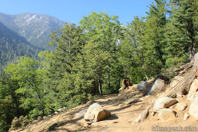 This gradual 5.2-mile round trip hike near Idyllwild crosses quiet forests with rugged mountain views.