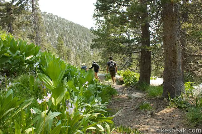 Deer Springs Trail San Jacinto