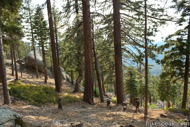 Marion Mountain Trail