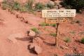 Upheaval Dome Canyonlands