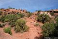 Upheaval Dome Canyonlands