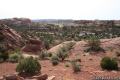 Upheaval Dome Canyonlands