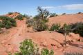 Upheaval Dome Canyonlands