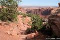 Upheaval Dome Canyonlands