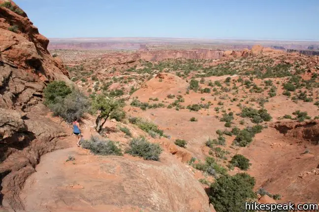 Upheaval Dome Overlook