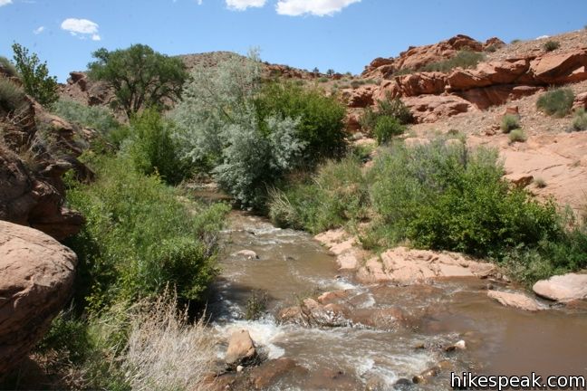 This 0.5-mile hike near Moab visits a swimming hole that offers refreshing escape from Utah's summer scorchers.