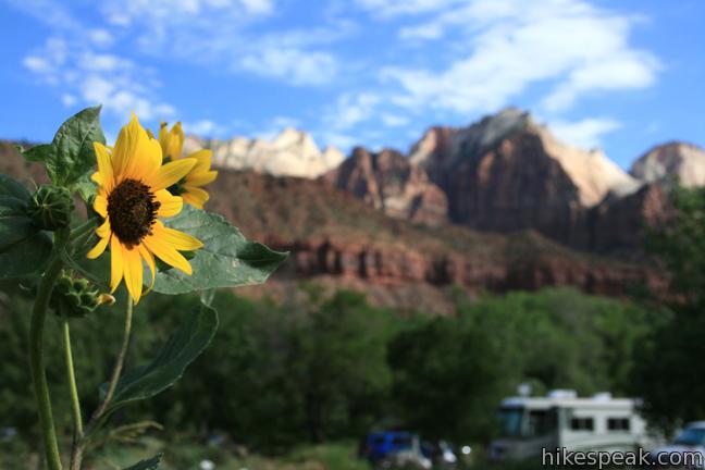 Zion National Park Camping