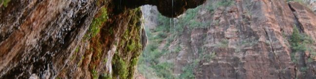 Weeping Rock Trail Zion National Park hike