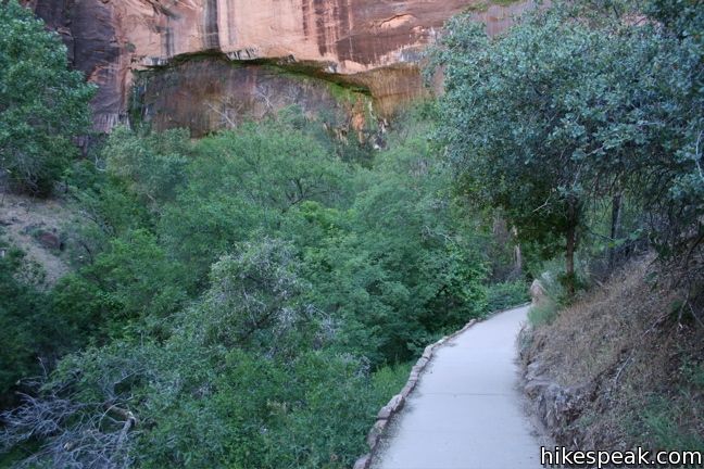 Weeping Rock Zion