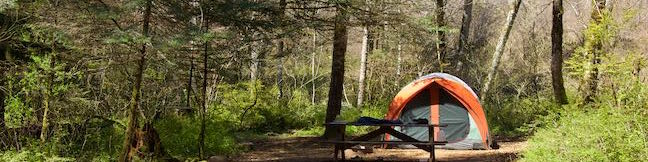 Camping in Beacon Rock State Park Main Campground Columbia River Gorge Washington