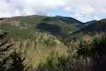 Hardy Creek Valley Hamilton Mountain Trail