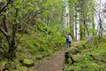 Beacon Rock Trail