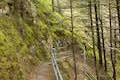 Beacon Rock Trail