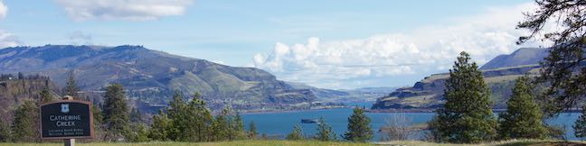 Catherine Creek Trail Columbia River Gorge National Scenic Area Wildflower Loop Hike Washington