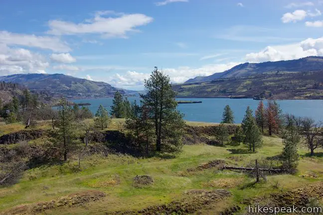 Catherine Creek Columbia River Gorge