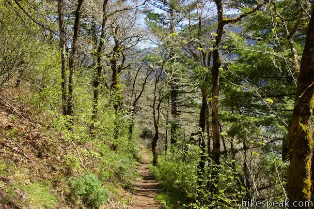 Augspurger Trail Columbia River Gorge