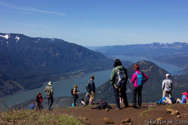 Dog Mountain Summit