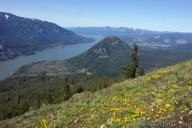 Dog Mountain Trail Hike