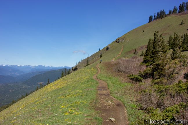 Dog Mountain Trail Hike