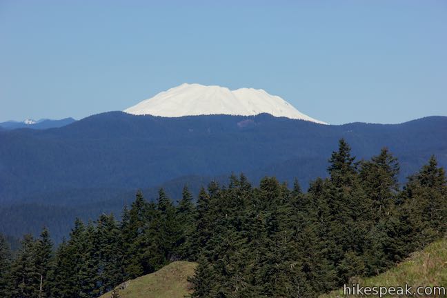 Dog Mountain Mount Saint Helens